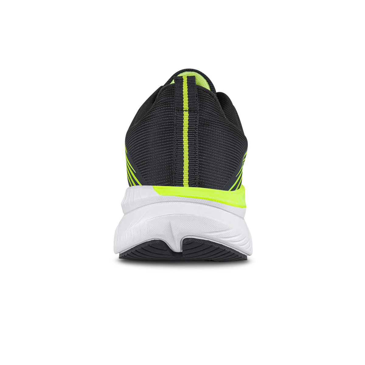Imagen 5